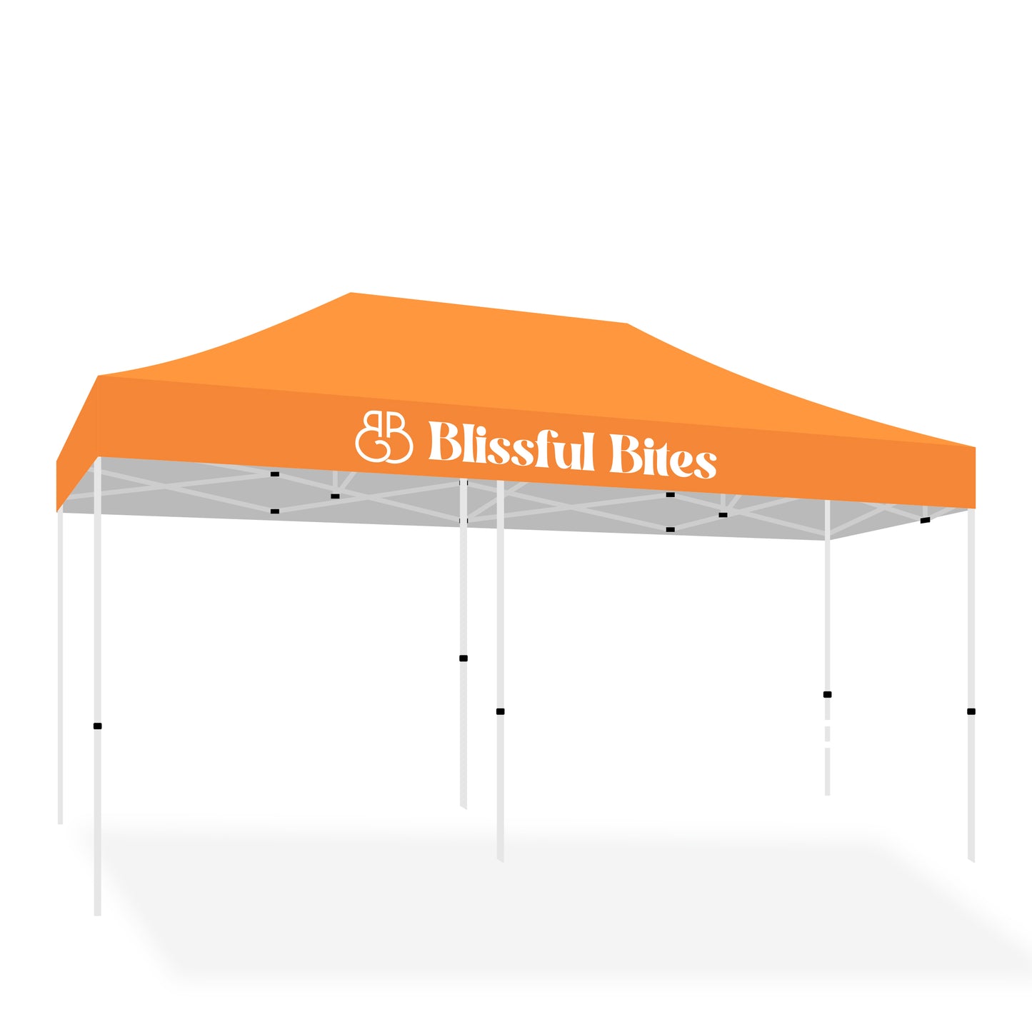 10' X 20' Tent w/ Full Color Canopy
