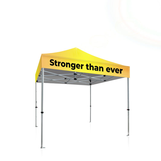 10x10 Platinum LifeTime Tent with Full Color Canopy